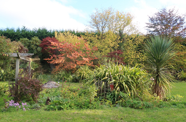  The view from the back house lawn. 