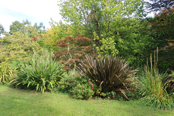  Looking over the water race at the Dog-Path Garden. 