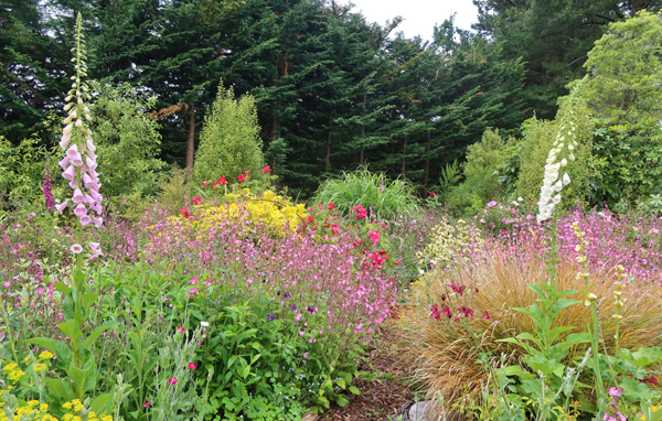  A beautiful, busy garden area. 