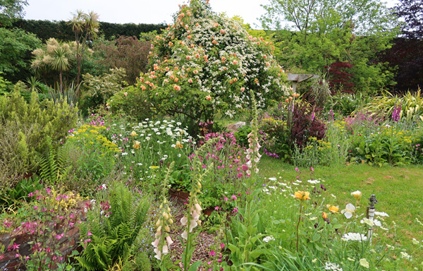  A very cottage gardeney look! 