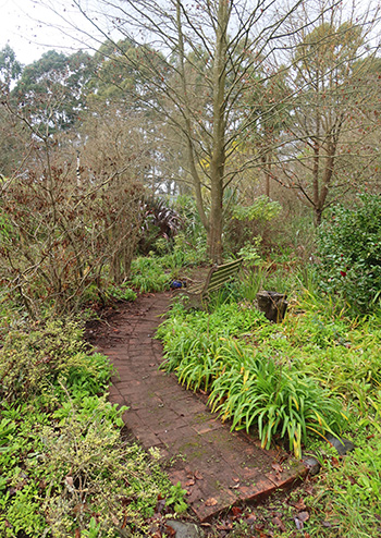  Leading into the Koru Courtyard. 