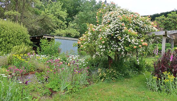  The Herb Spiral and the Pergola 