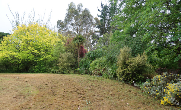  This lawn has no irrigation - check out the colour of the grass. 