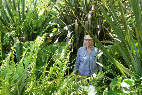  Lots of vegetation! 