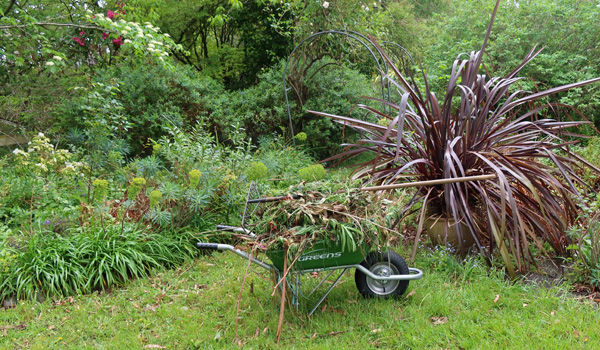  By the Septic Tank Garden. 