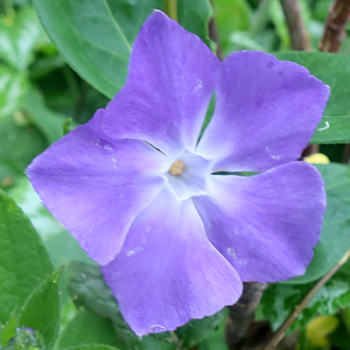 Such a pretty blue. Such a pretty blue.