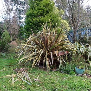  A large striped one in the Stables Garden. 