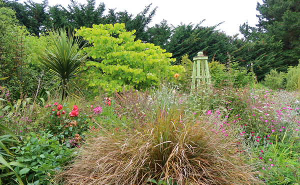  The Hump Garden. 