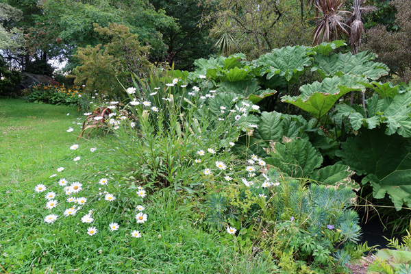  Pretty daisies, though! 