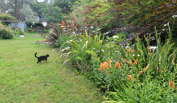  A busy border. Not too messy, until you look more closely. 