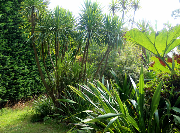  The view from my garden bench. Just beautiful! 