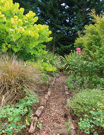  It leads down to a huge tree stump which can be sat on. 