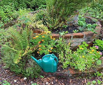  With bright orange Marigolds. 