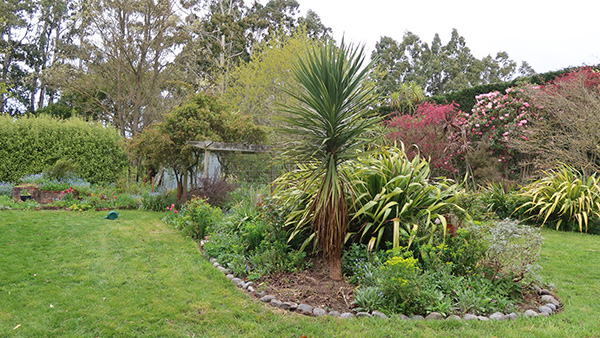  The gardens around the back lawn. 