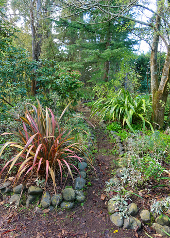 The first path from the driveway. The first path from the driveway.