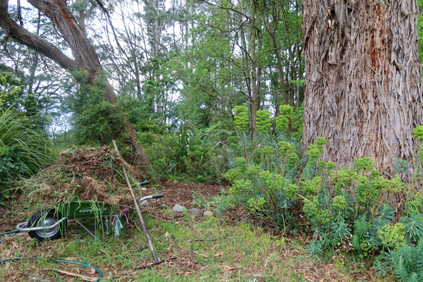  Tough shrubs only need apply! 