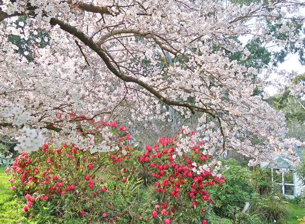 So pretty! So pretty!