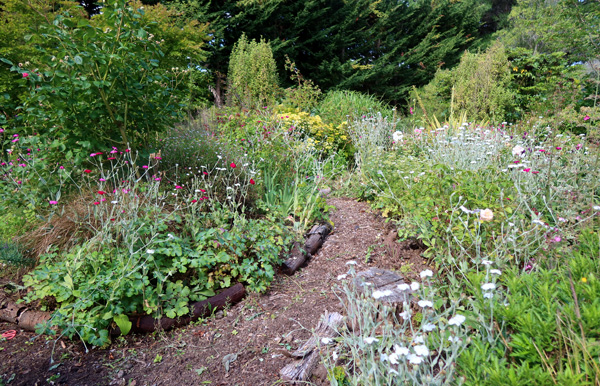  Cleared. But for how long? 