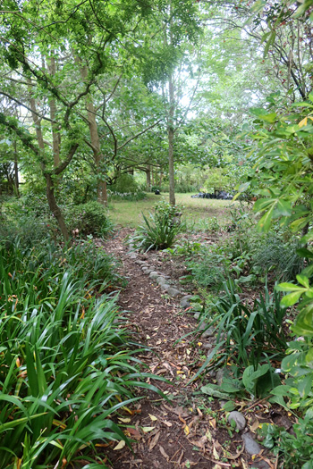Looking into the Pond Paddock. Looking into the Pond Paddock.