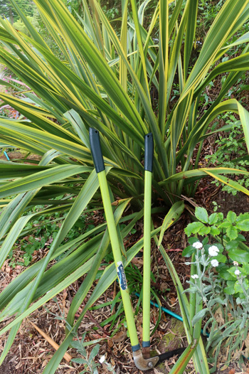 Far too subtle a colour! Far too subtle a colour!