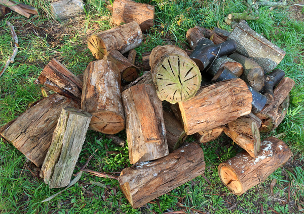 For the log-burner. For the log-burner.