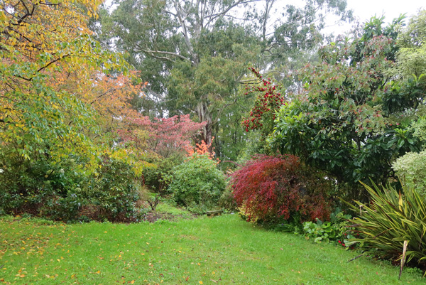 From the Driveway Lawn. From the Driveway Lawn.