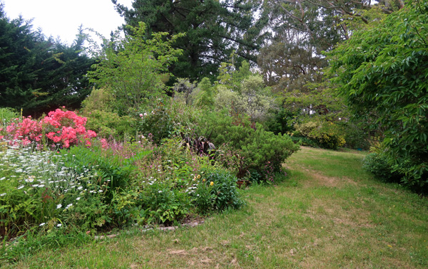 The Hump Garden is in the background. The Hump Garden is in the background.