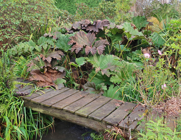 By Willow Bridge. By Willow Bridge.