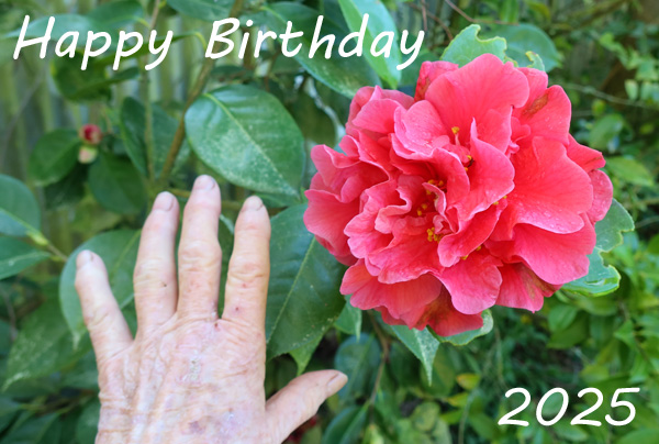 That gardening hand has seen a lot of hard work! That gardening hand has seen a lot of hard work!