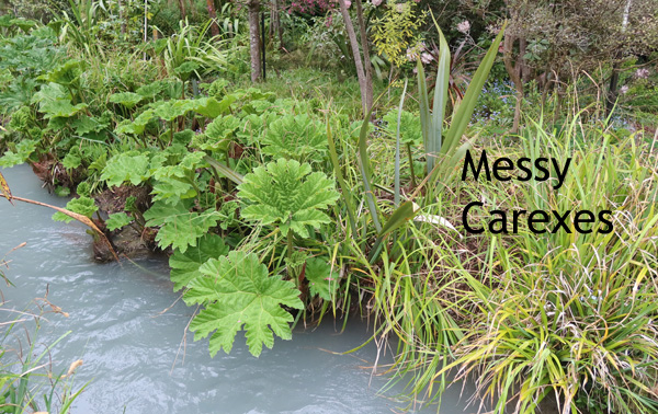 With the Gunnera leaves starting to grow. With the Gunnera leaves starting to grow.