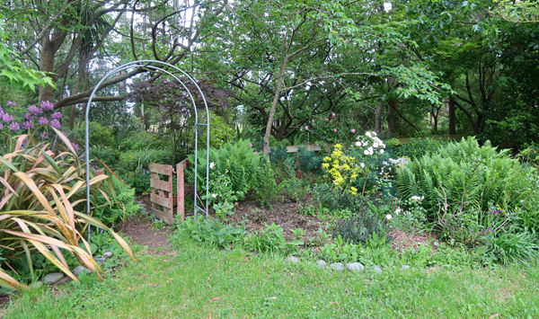  Looking good! A white and green garden, apparently... 