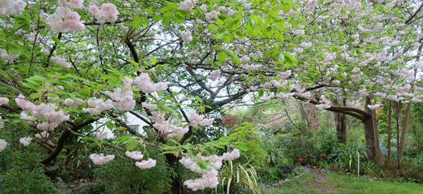 Beautiful!   Beautiful!