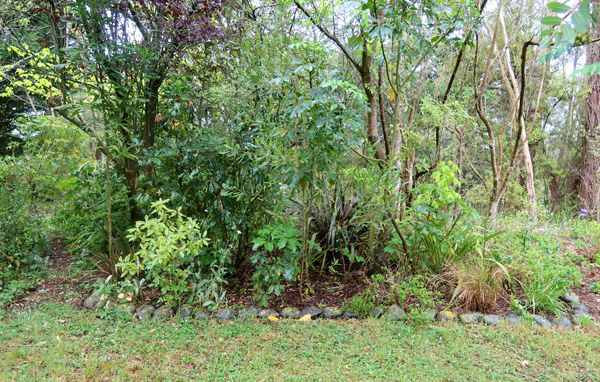 At the far side of the Driveway Lawn. At the far side of the Driveway Lawn.