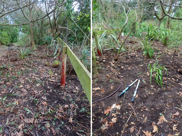 The Septic Tank Garden The Septic Tank Garden