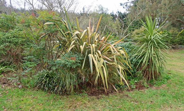  In winter. 
