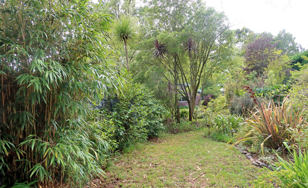  The bamboo is on the left 