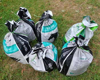 OK. I can deal with the annual weeds. OK. I can deal with the annual weeds.