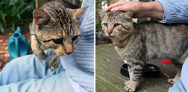 February 2026. February 2026.