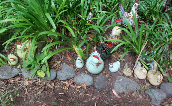  Pity about the roosters! 