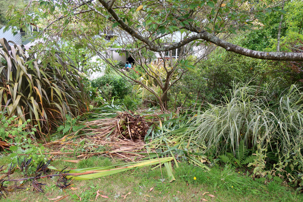 I need help to dig out the root balls. I need help to dig out the root balls.