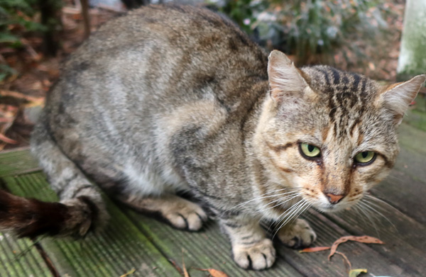 February 2026 February 2026