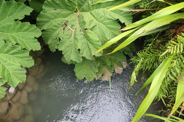  Elements of the water race. 