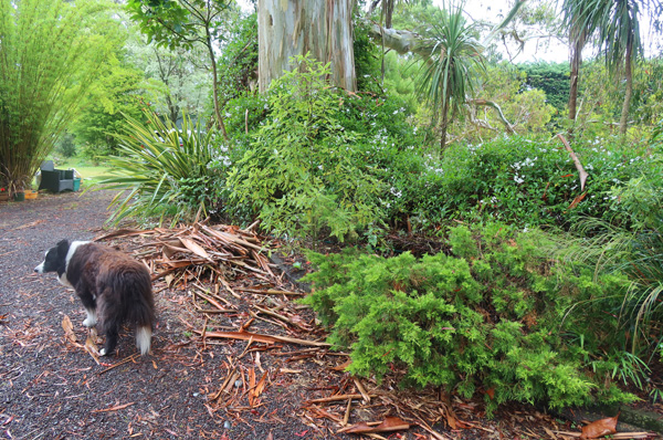  And there will be more to fall off the trees. 