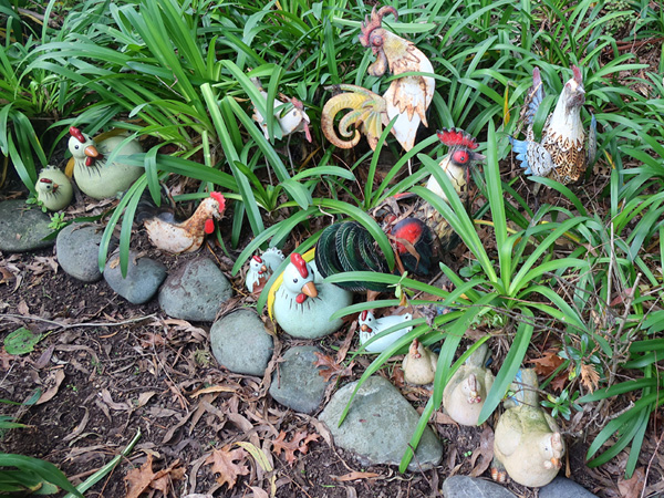 Colour in the garden! Colour in the garden!
