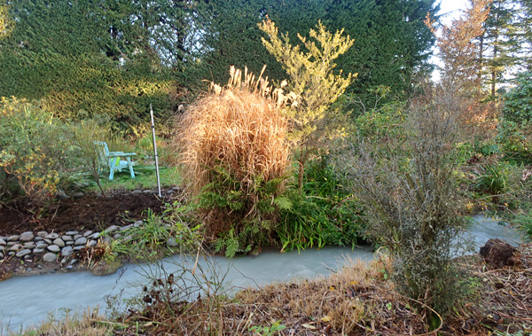  One of the gardens where the horse manure has been spread. 