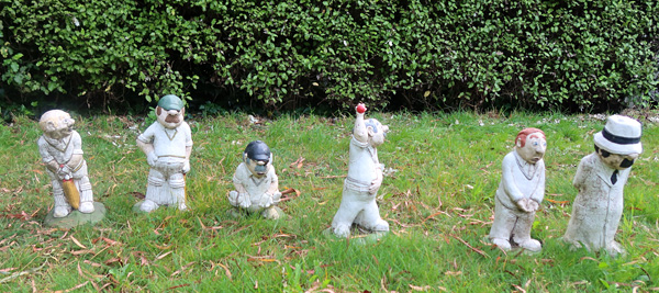 Waiting for the Olearia hedge trimming to finish. Waiting for the Olearia hedge trimming to finish.