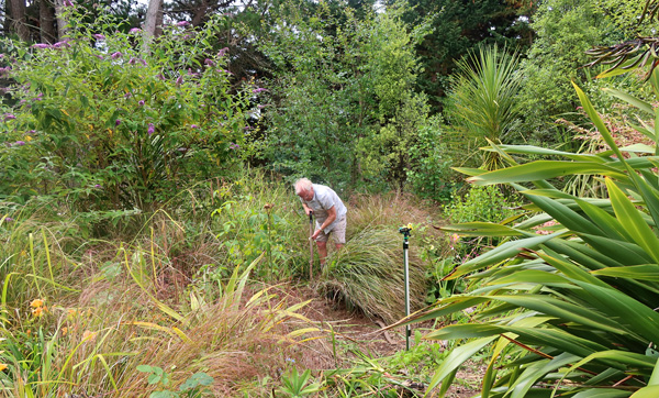  NGP with the shovel. 