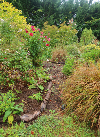 The garden on the left has been topped up with horse manure. The garden on the left has been topped up with horse manure.