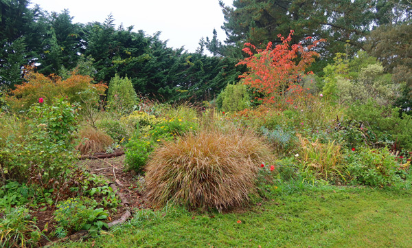  Part of the Hump Garden in Autumn 