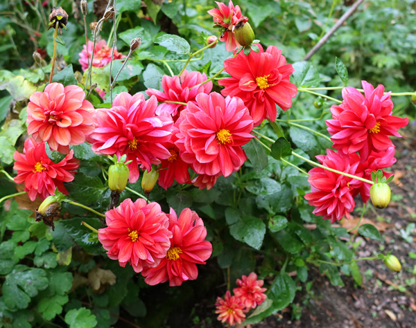 Beautiful! Beautiful!